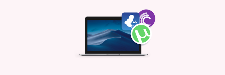 Torrent software for catalina update
