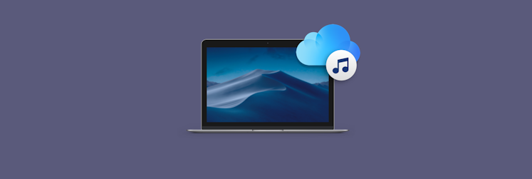 Download my icloud stuff to mac catalina Download my icloud stuff to mac catalina