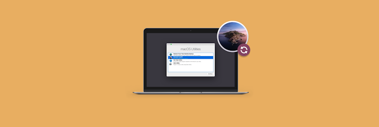 Viruses Viruses